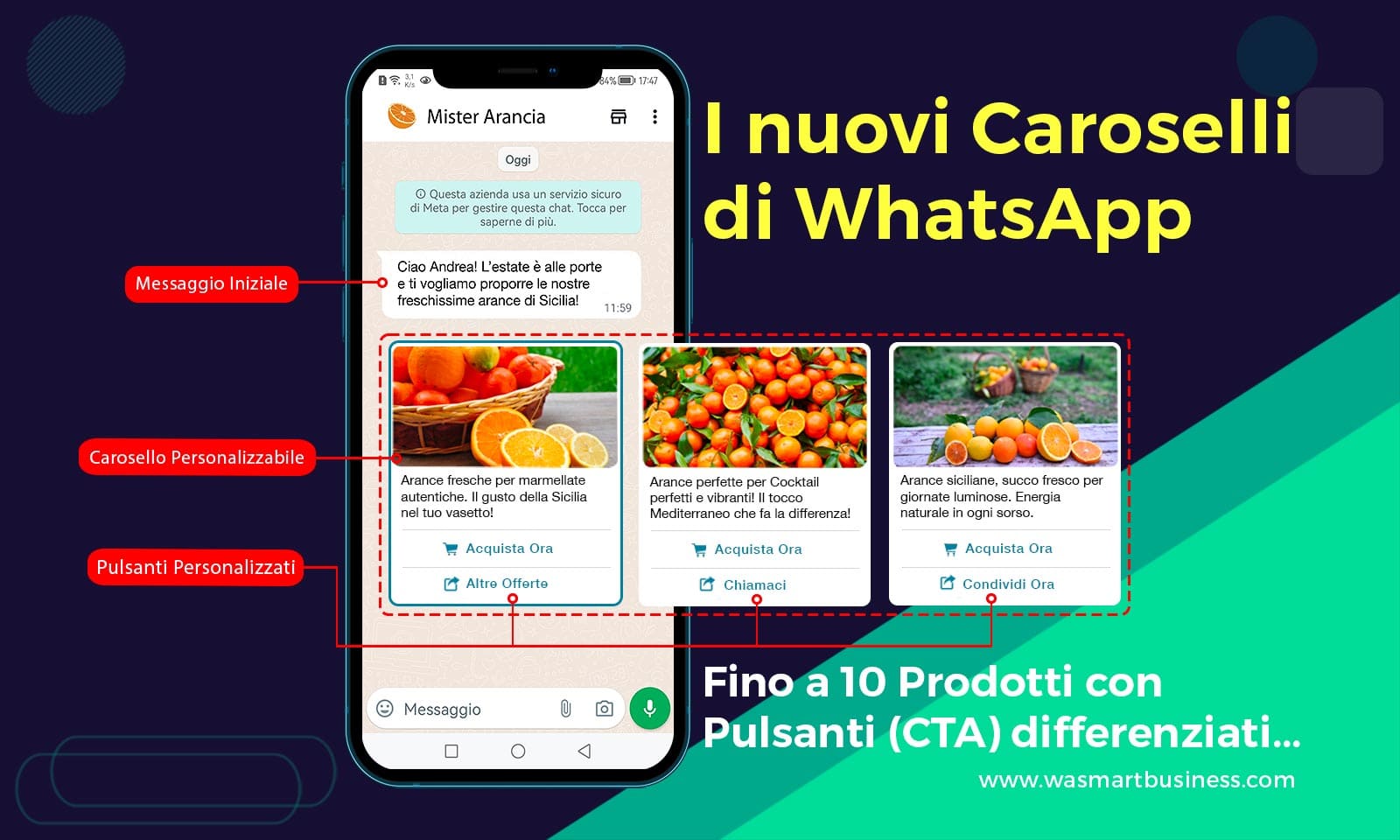 Caroselli di WhatsApp WA Smart Business